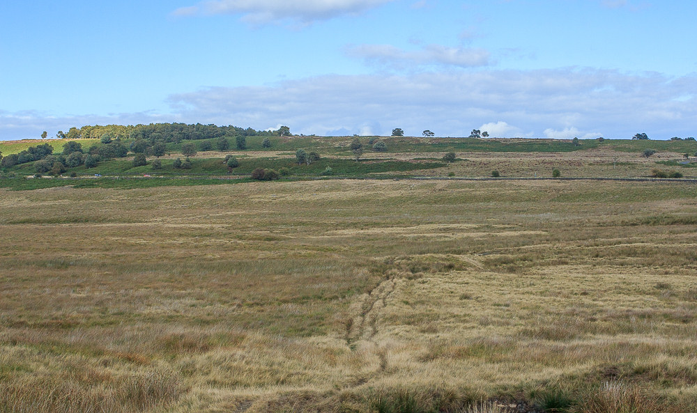 Big Moor Big Moor